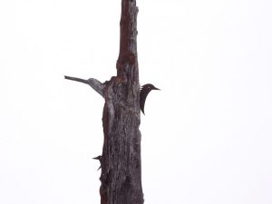 薙鎌（なぎがま）